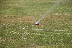 Sprinkler