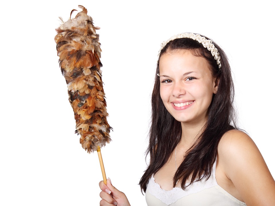 Reasons to steam clean rooms and surfaces