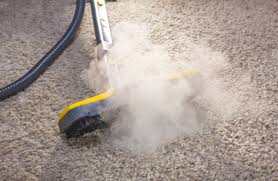 Reasons to steam clean rooms and surfaces